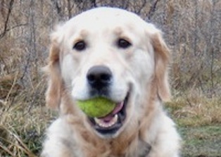 Ronja