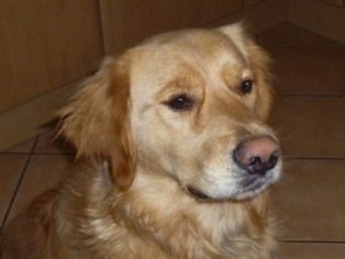 Mannie